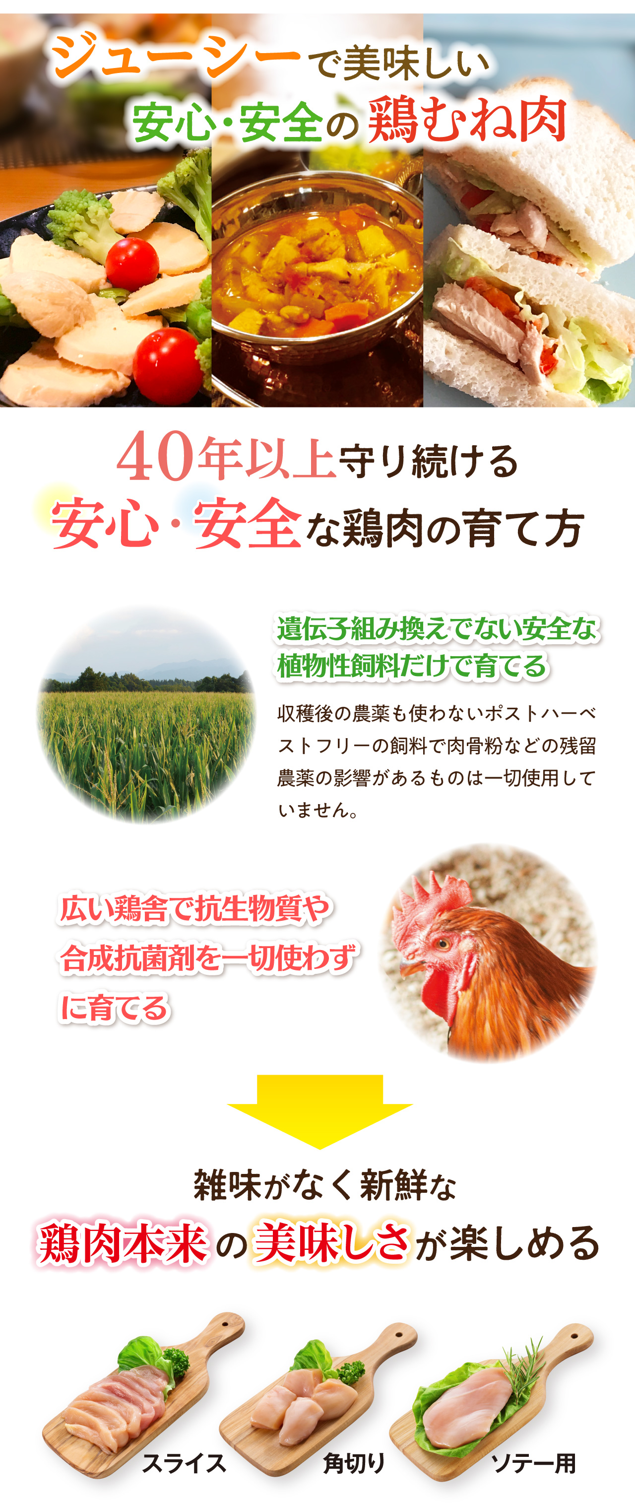 九州よか鶏の丘直売所 / LPお試しセット